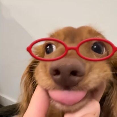 鹌鹑蛋