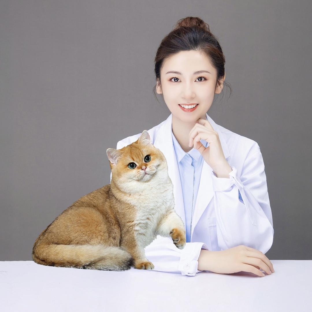 高翠兰的喵(饲养问题,私信我)