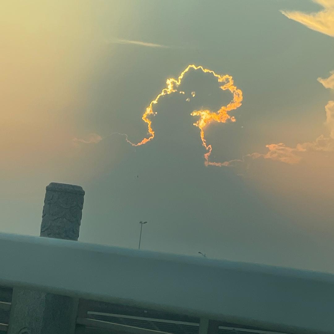 朱先生