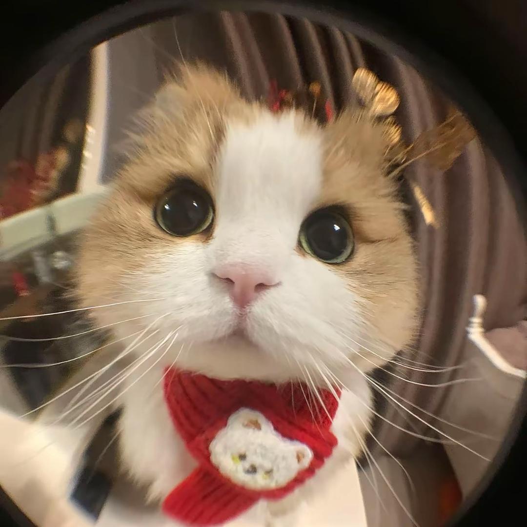 肖火火