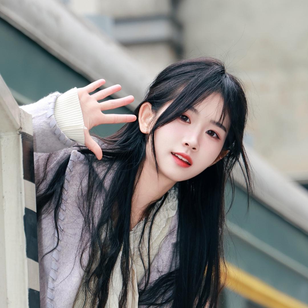 灰灰-