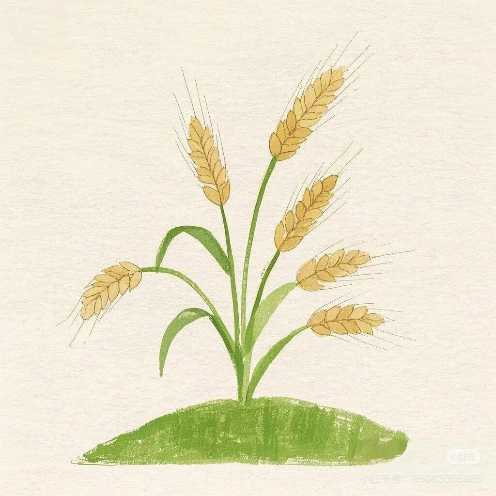 🌊草木一