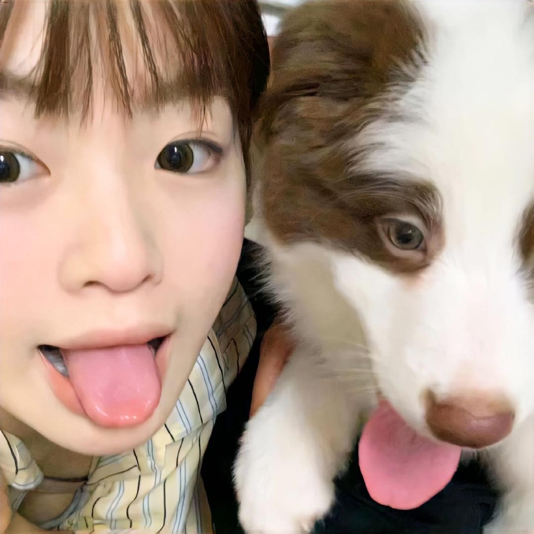 迷你小田