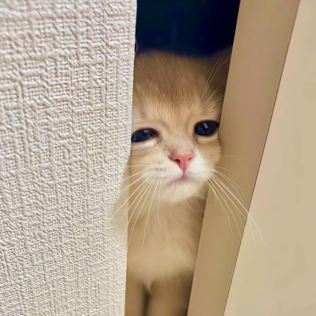 钙镁锌