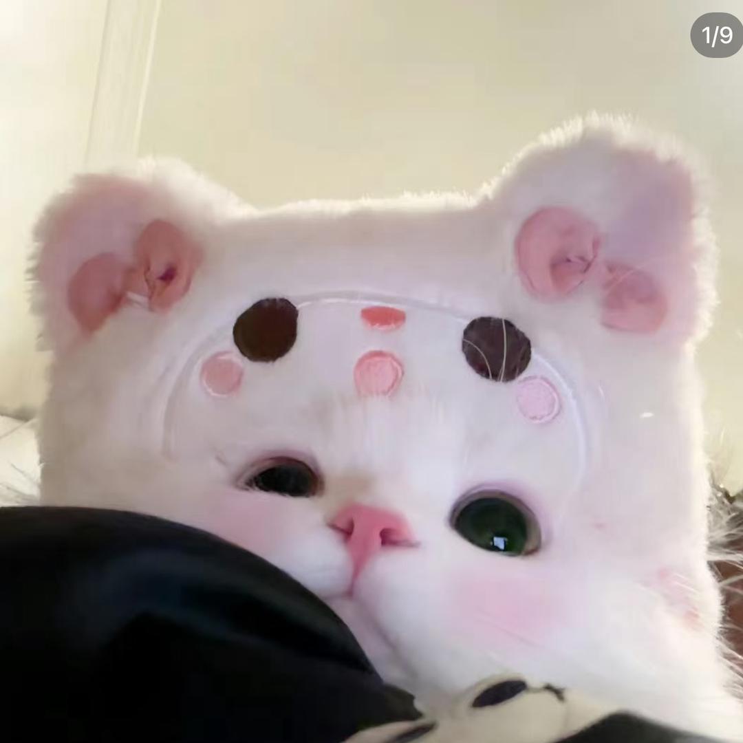 𝗫_𝙭𝙞𝙣𝙜𝙮𝙚_