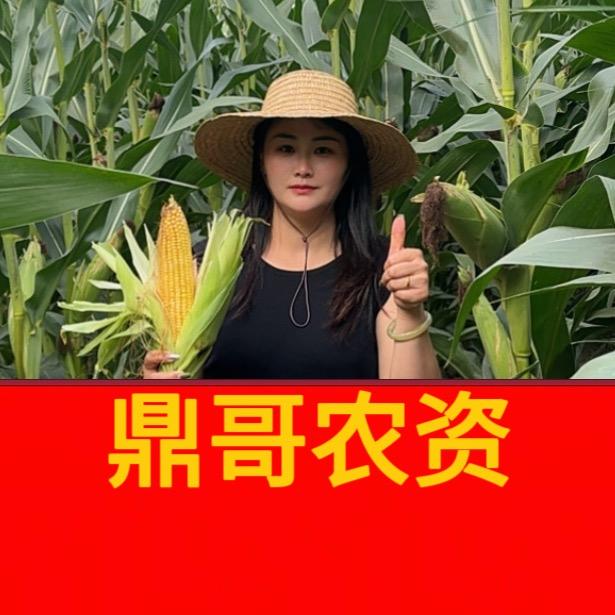 大玉儿(鼎哥农资）