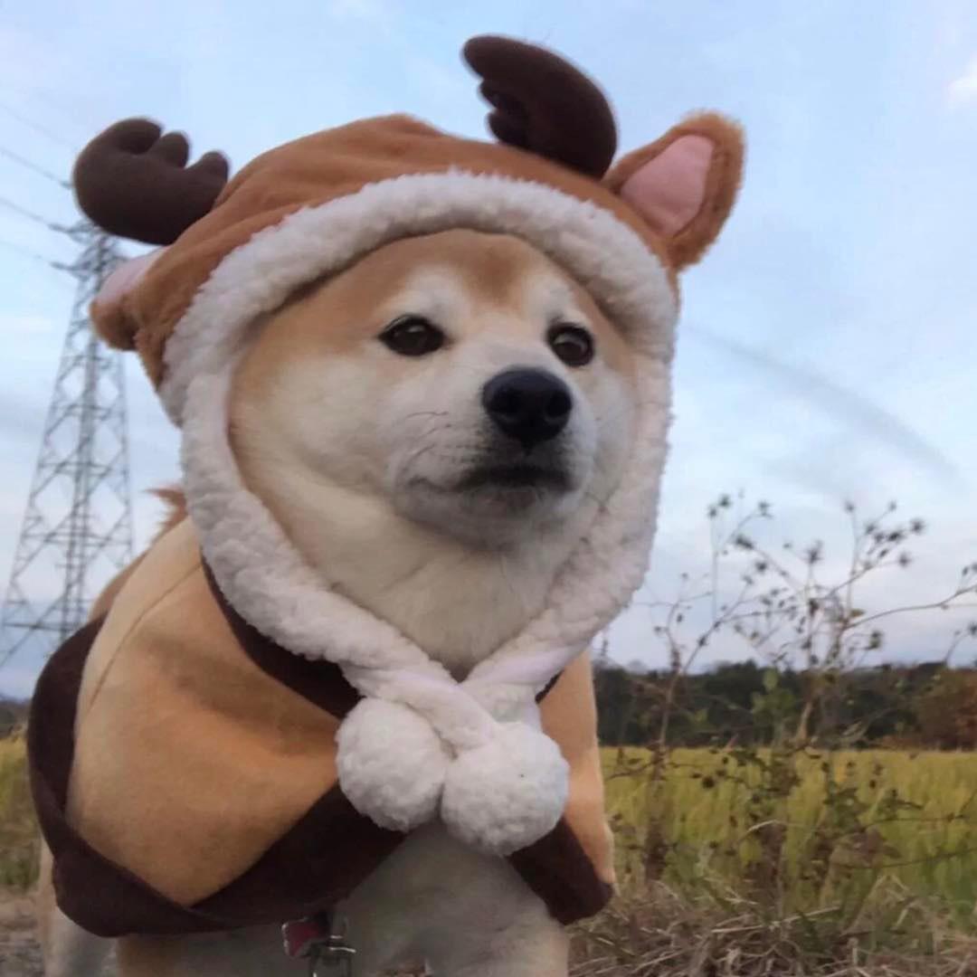 林林Va