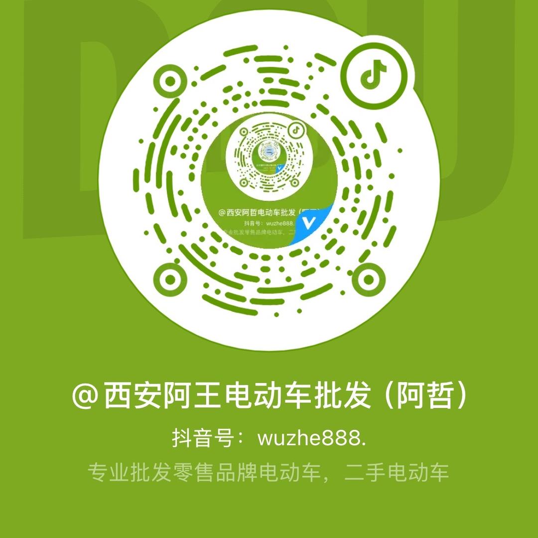 西安阿王电动车批发（阿哲）