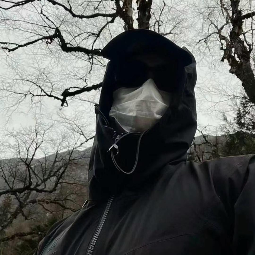 装忧郁被狗追.