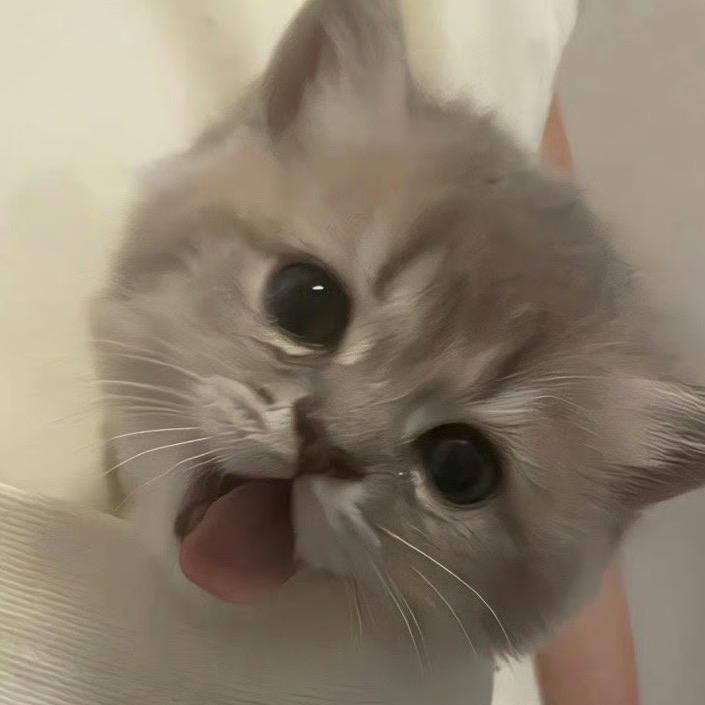 旺喵喵