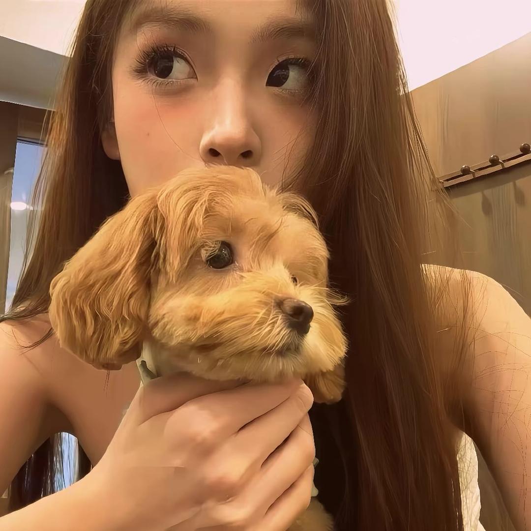 呆呆鱼
