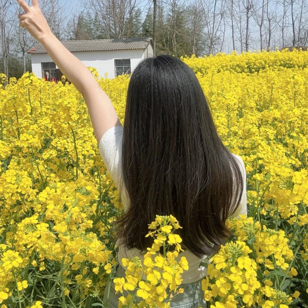 莲莲🌻