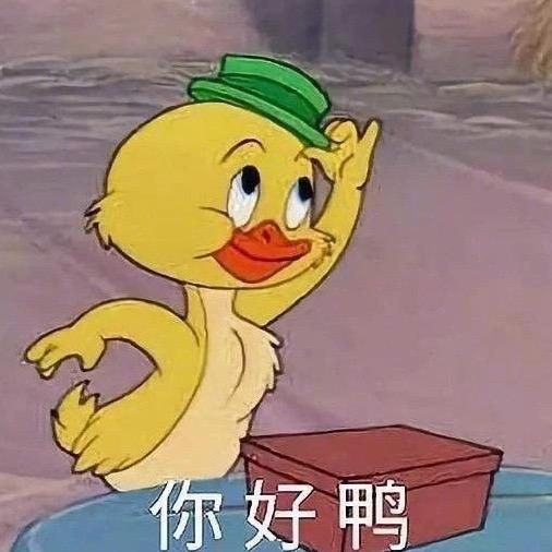 7只小鸭