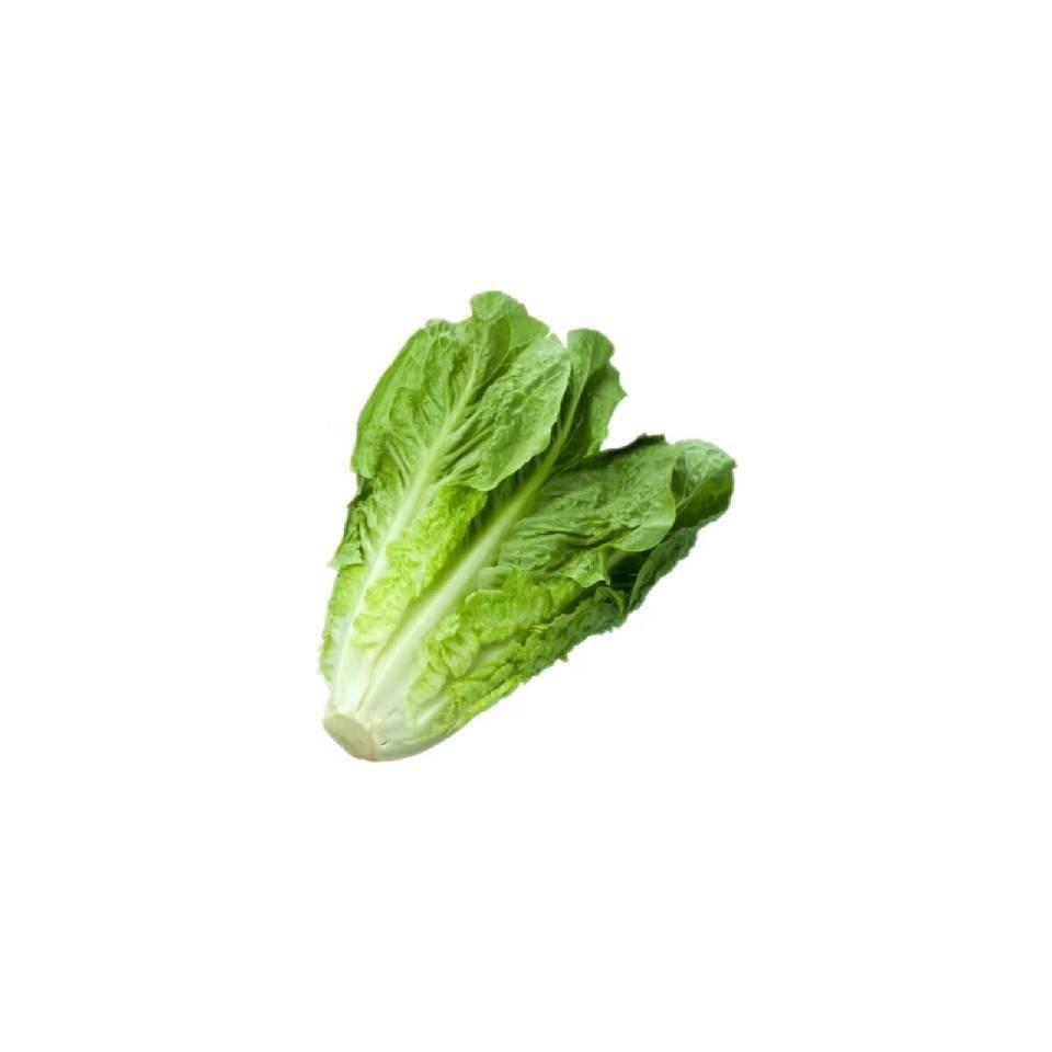 鲜正达🥬