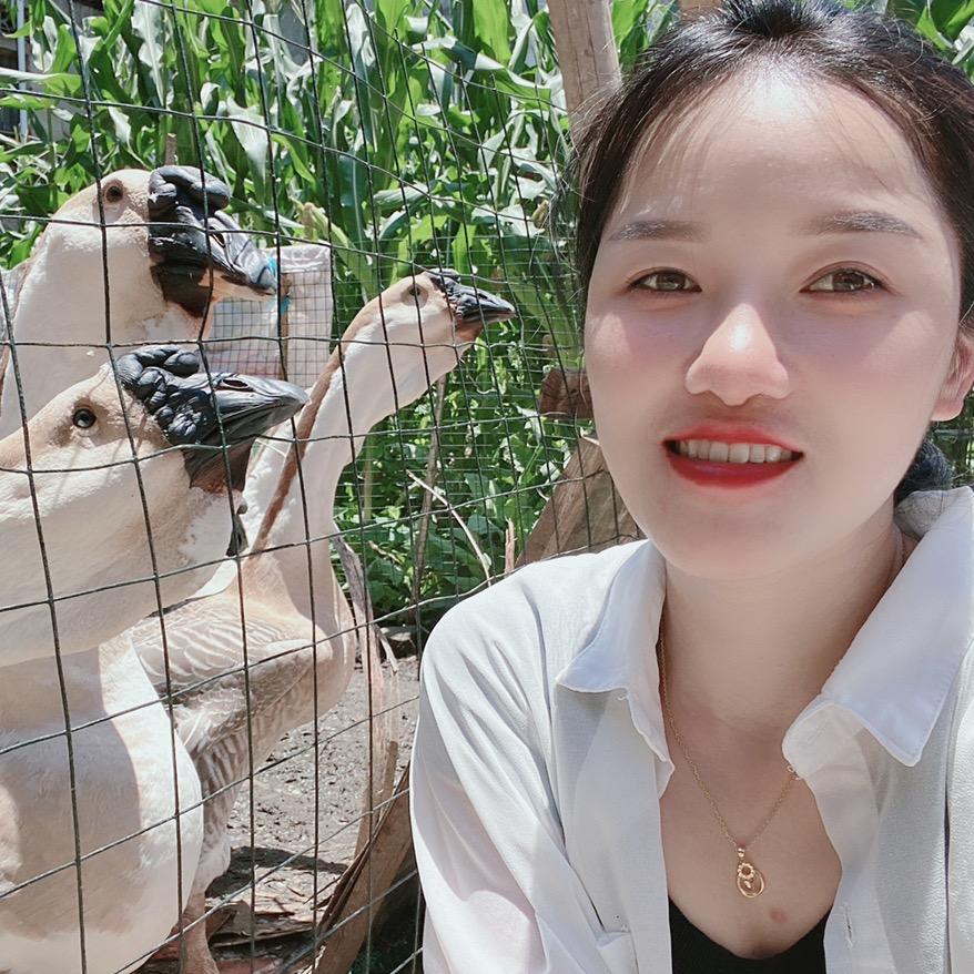 小叶子狮头鹅