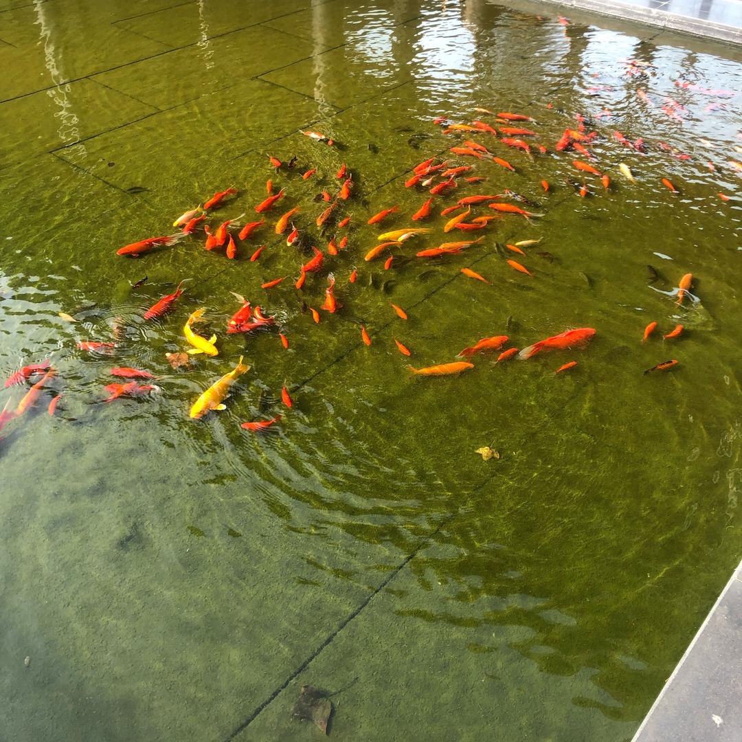 你来🫴