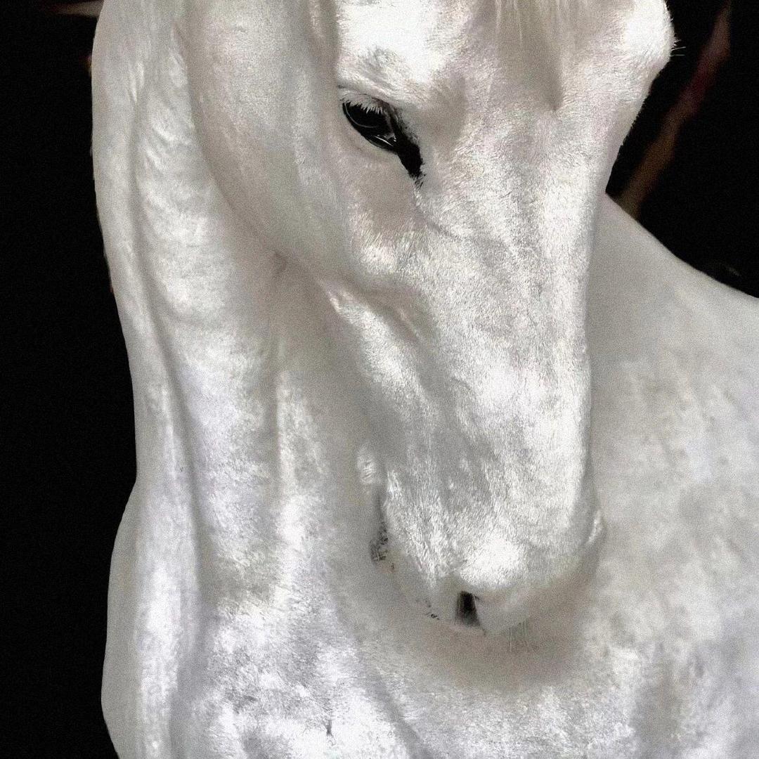 不要你管