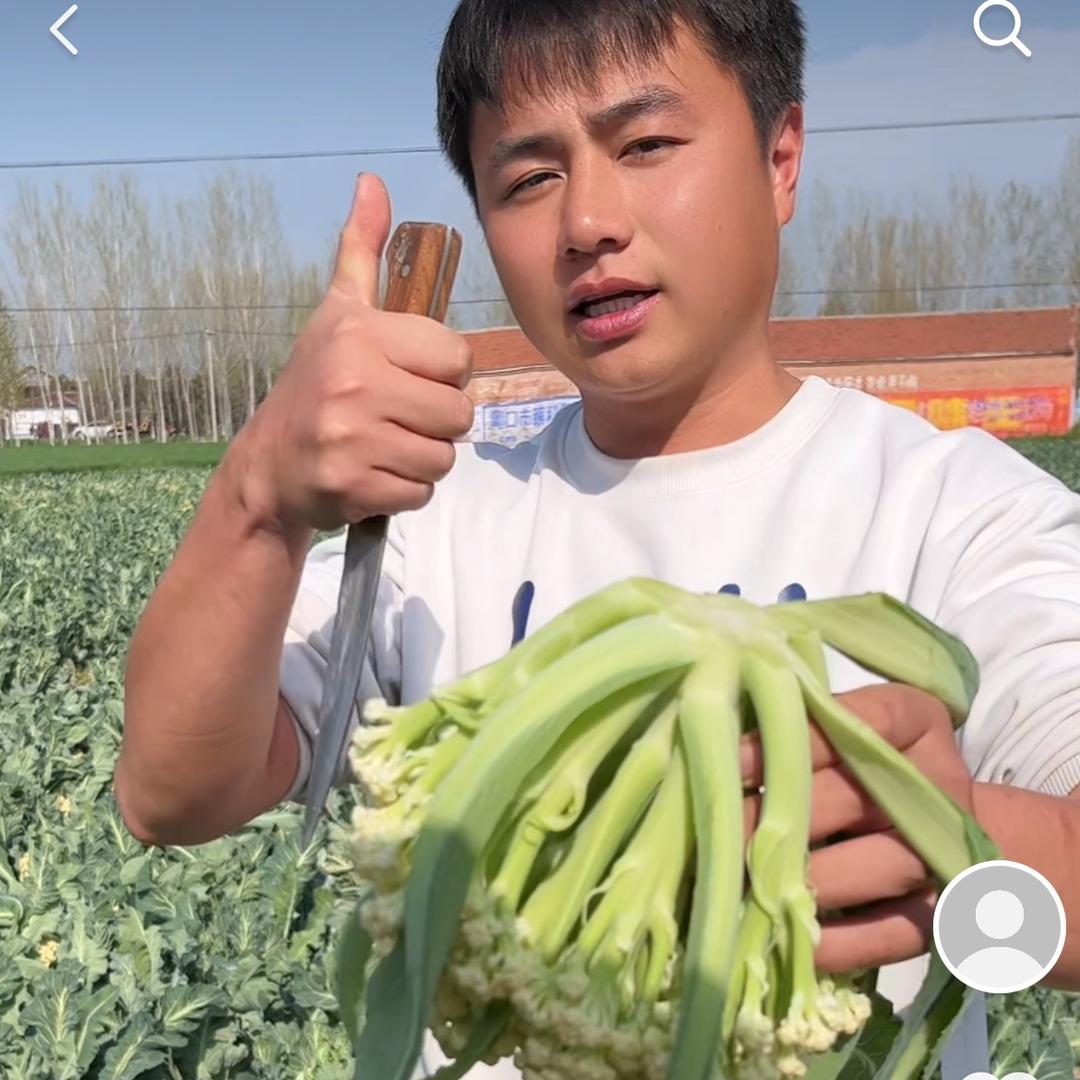 洋洋甄选农产品