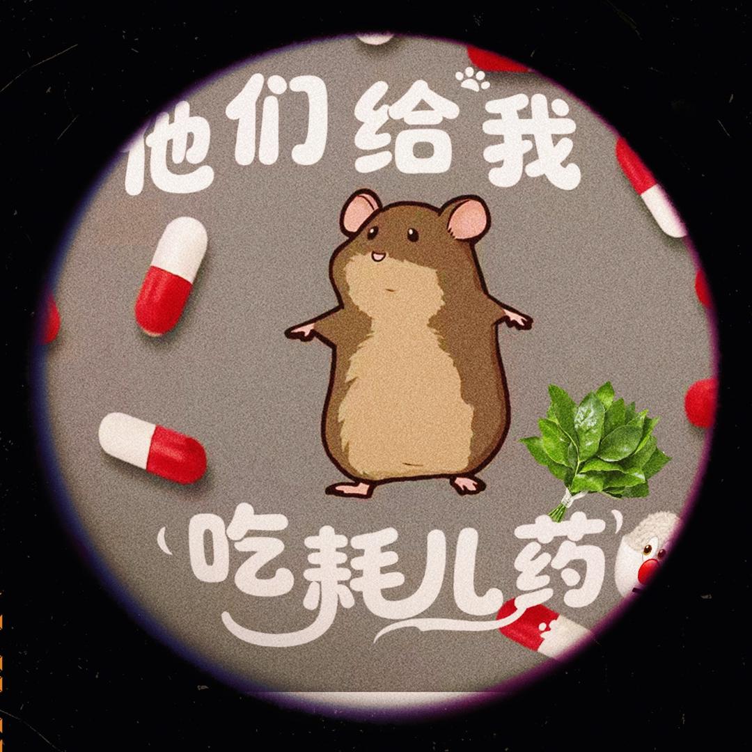 𓋜野猪娘 ໊娘 ໊ 🐗 ໊ 吃🍉