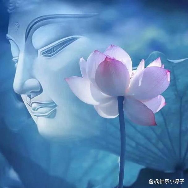 净心禅语