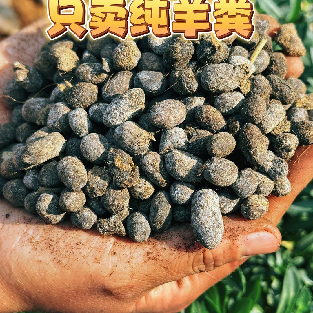 纯羊粪发酵肥-严农牧业