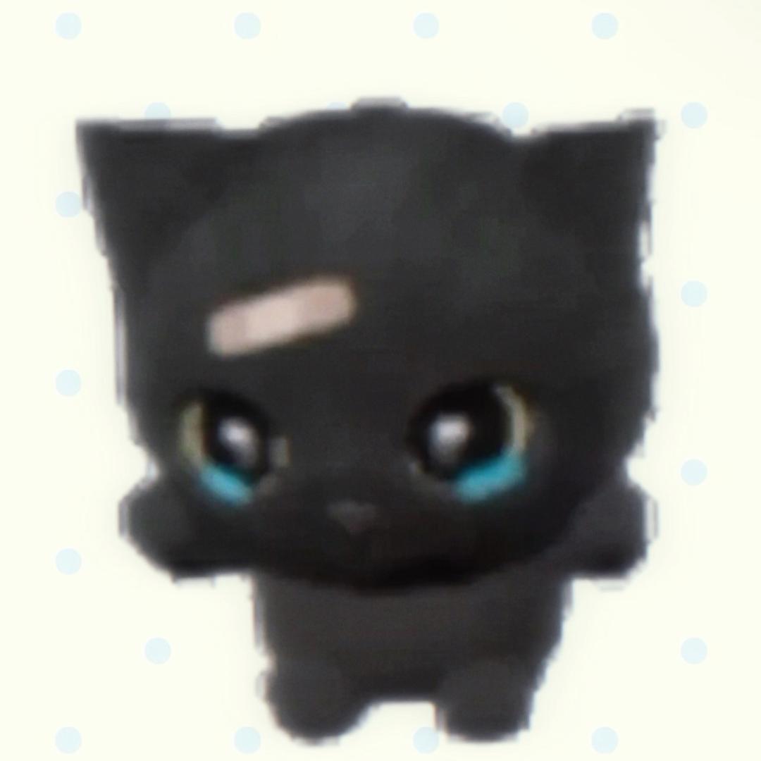 请叫我饼饼🎸🙄