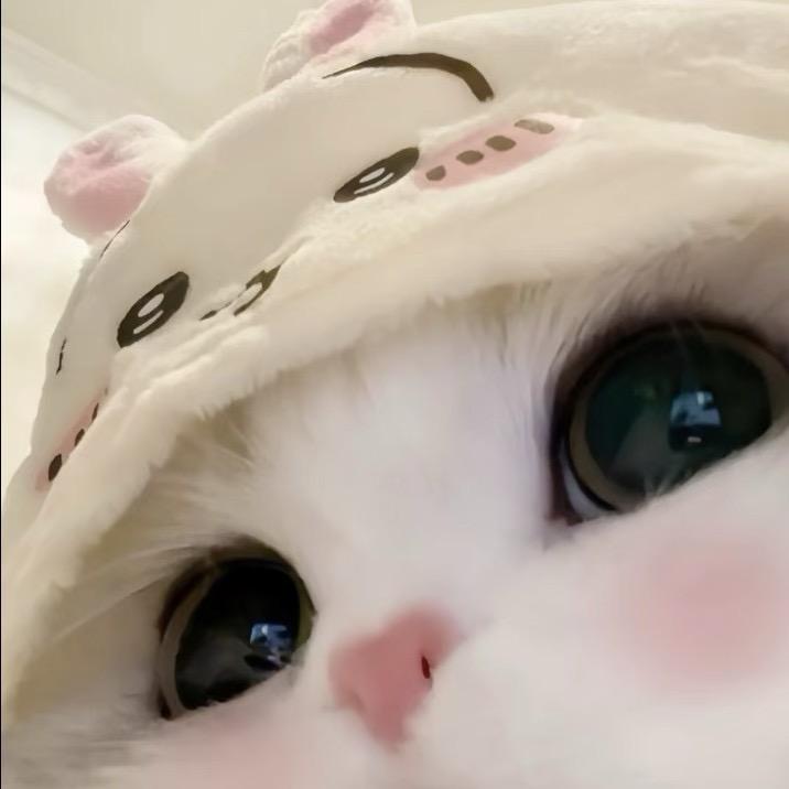 炼不出腹肌，不改名