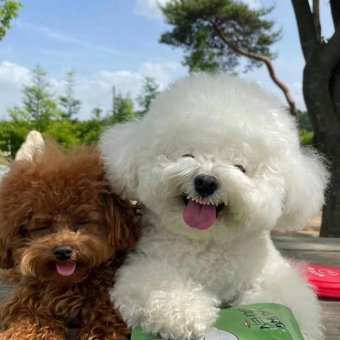 超级无敌喷火龙