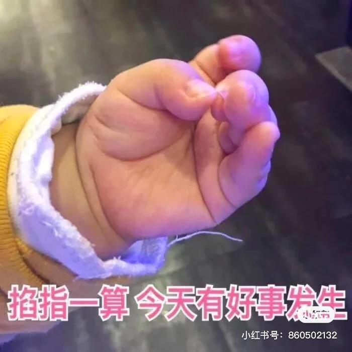 吃货的世界🍻