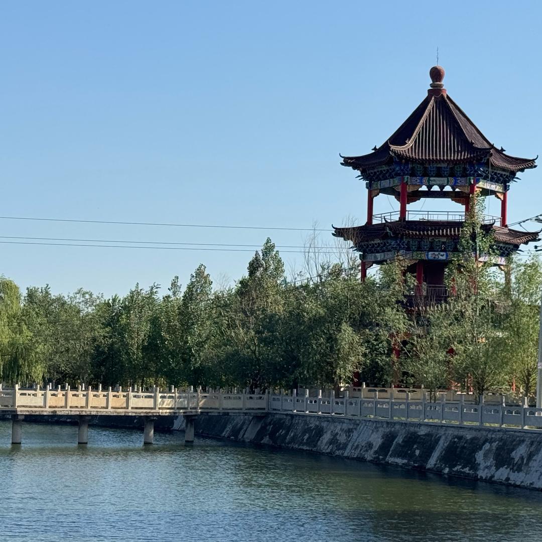 万乐蔬菜小镇（直播）