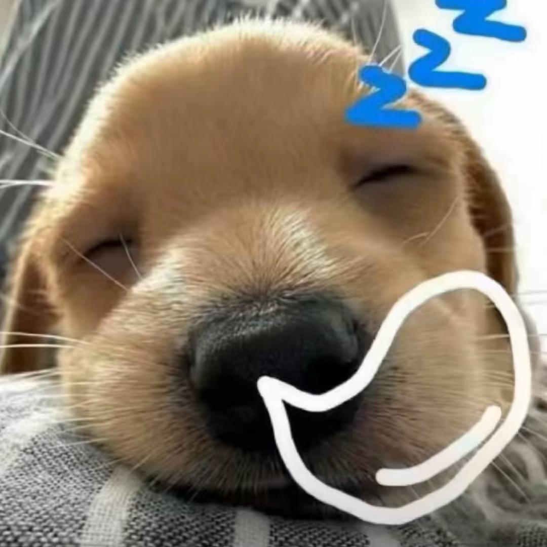 .~.~.~
