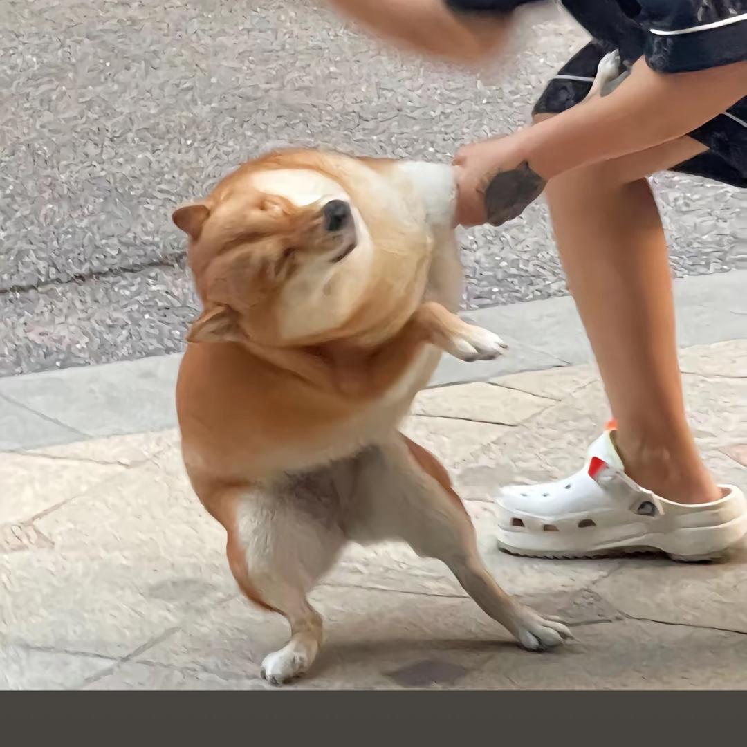 好运暴走