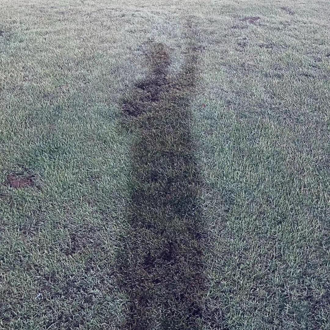 🐑羊咩咩咩♥️