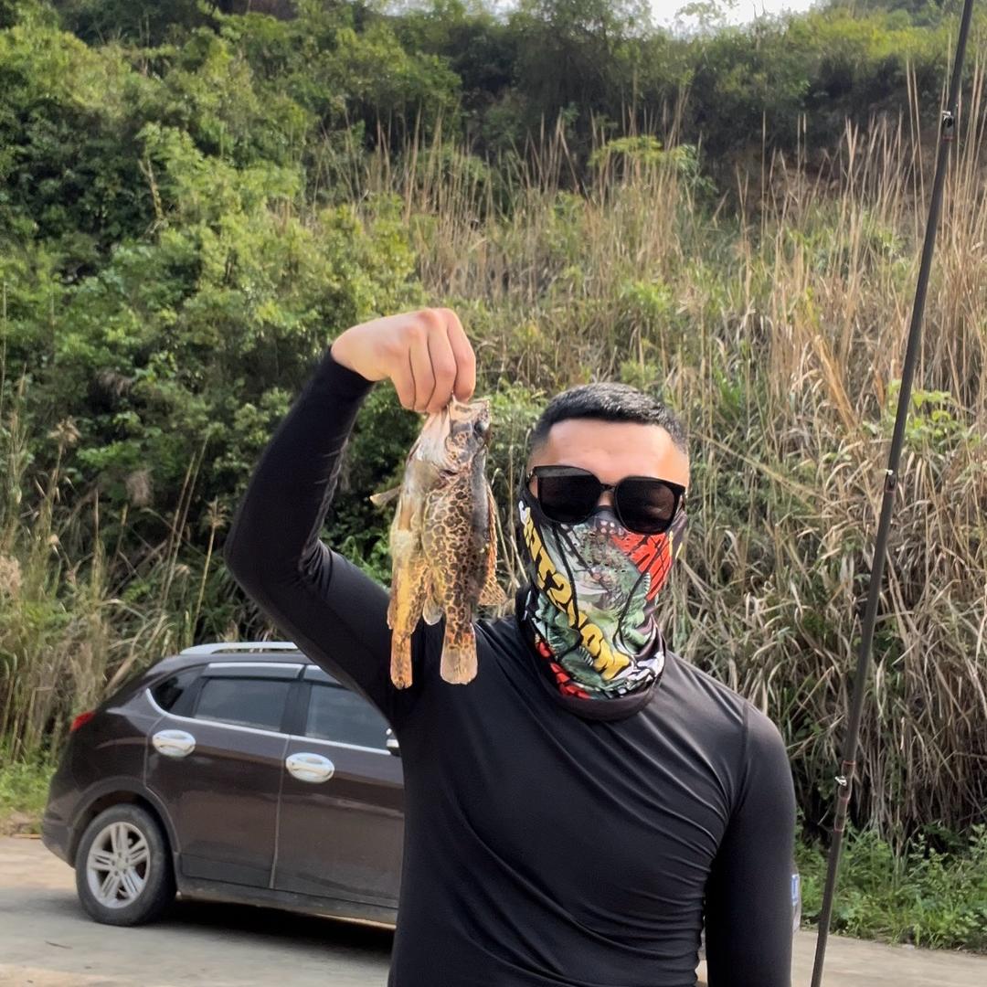 杨阳🌞🌞