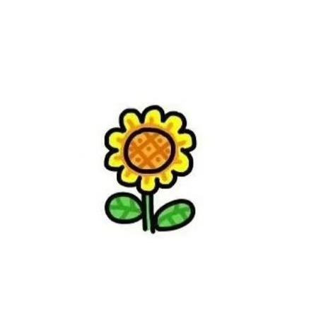 小马