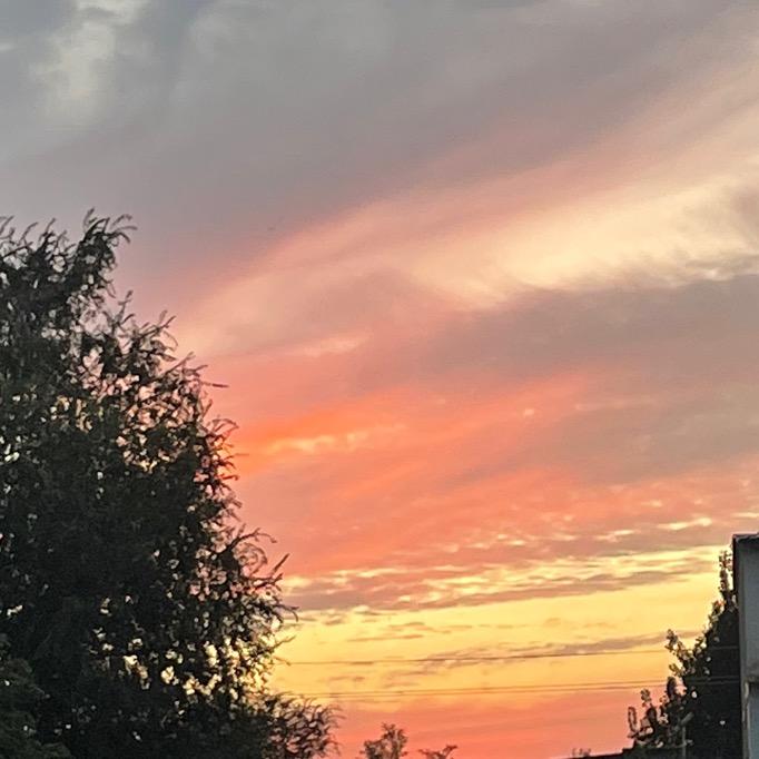 ( ﹡ˆoˆ﹡ )啦啦啦