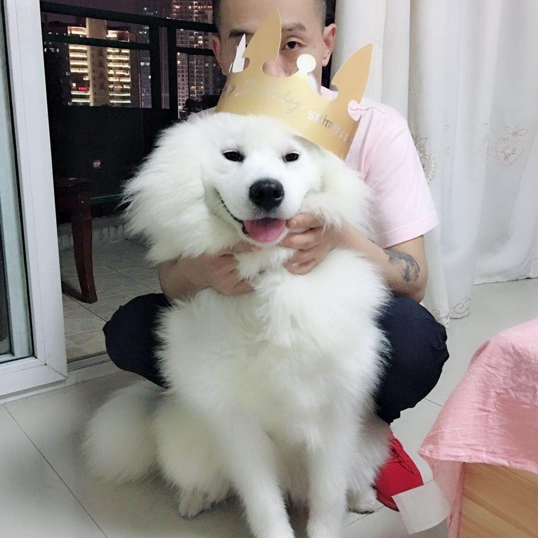 陈毅～