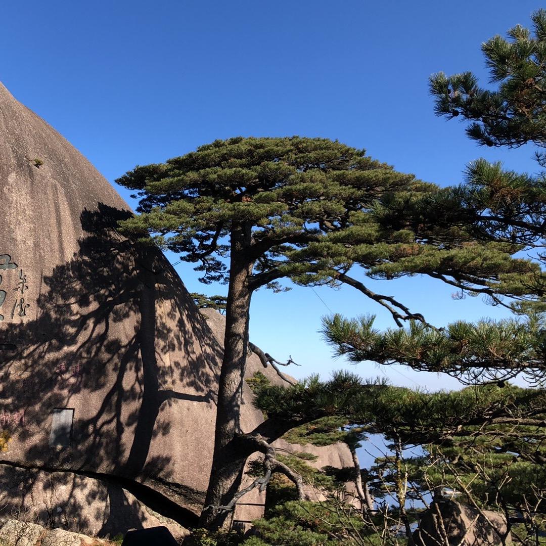 『痴梦』