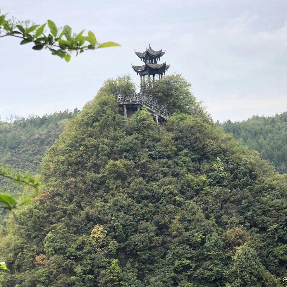江哥
