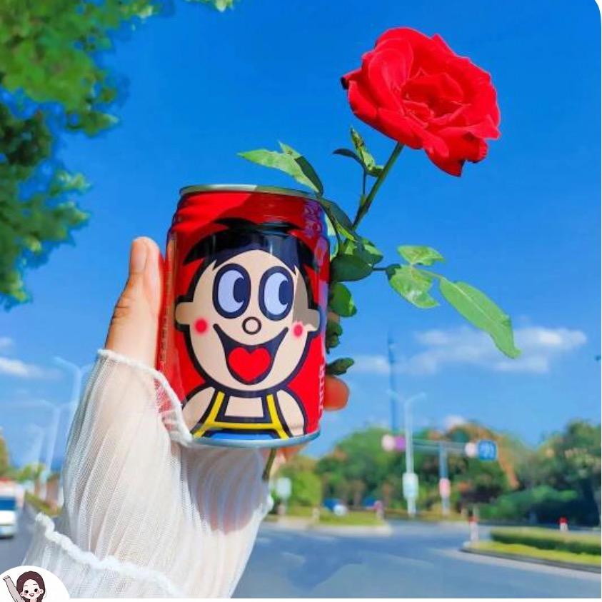🍎稳稳的幸福