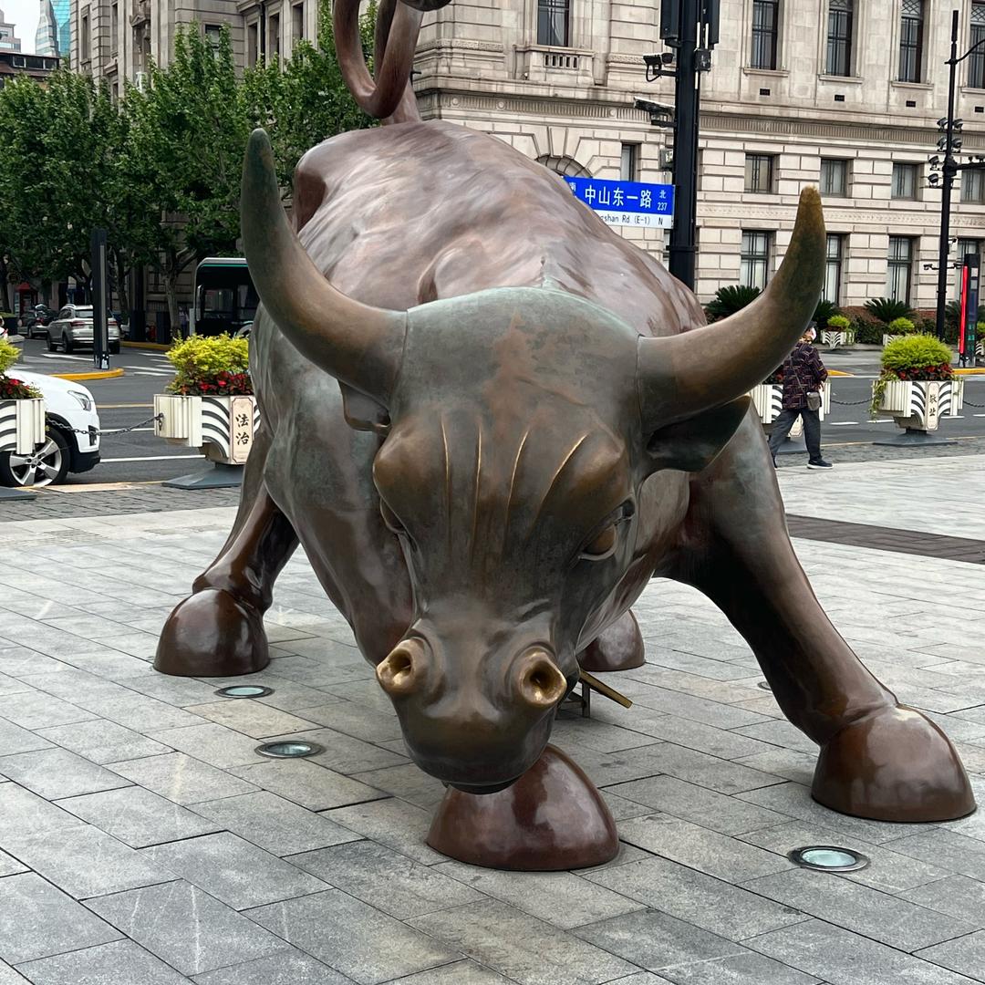 猪狗一天记录片