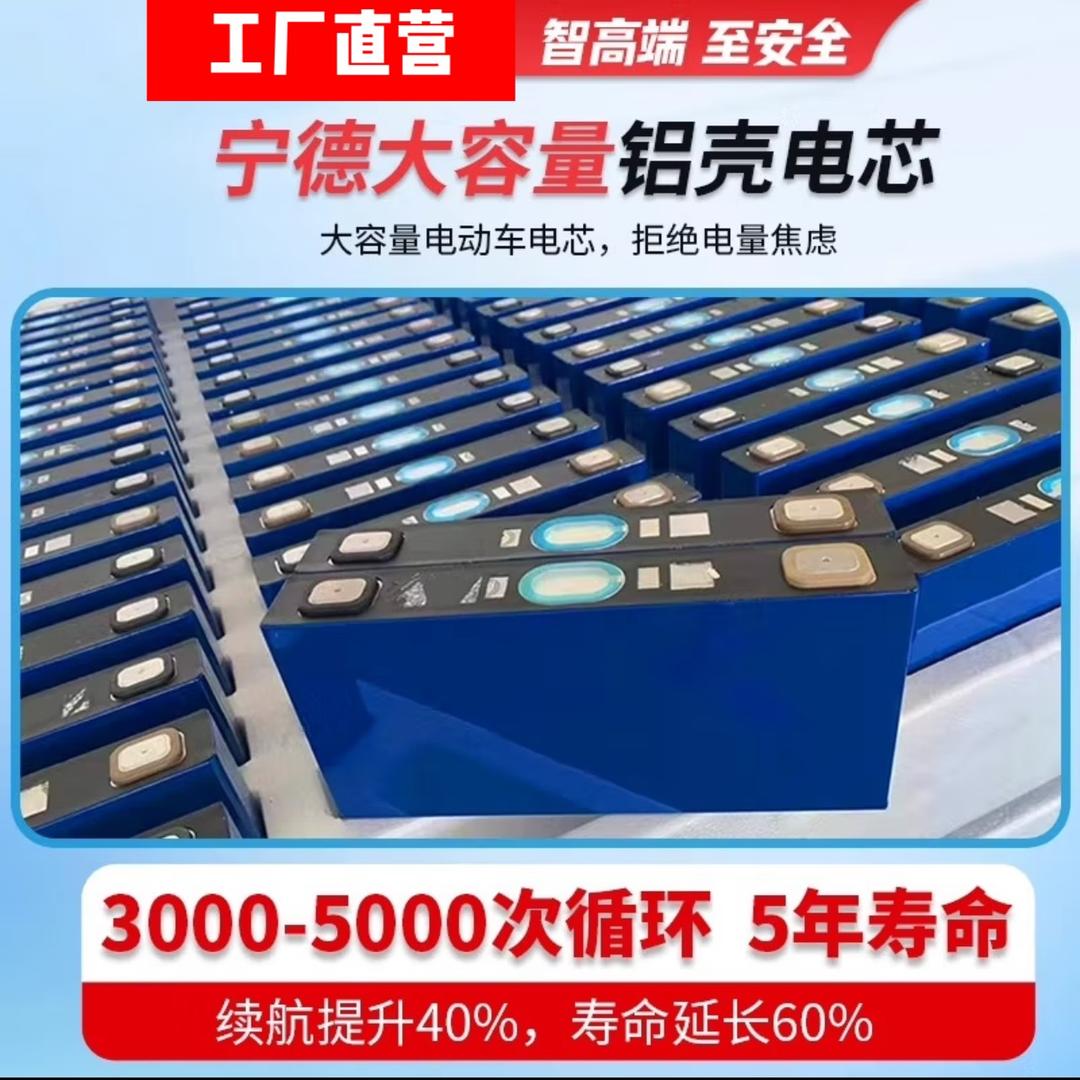 耐跑大牛电动/真实锂电工厂