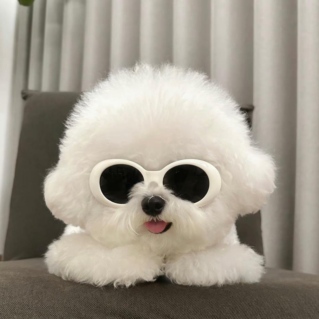 小徐.