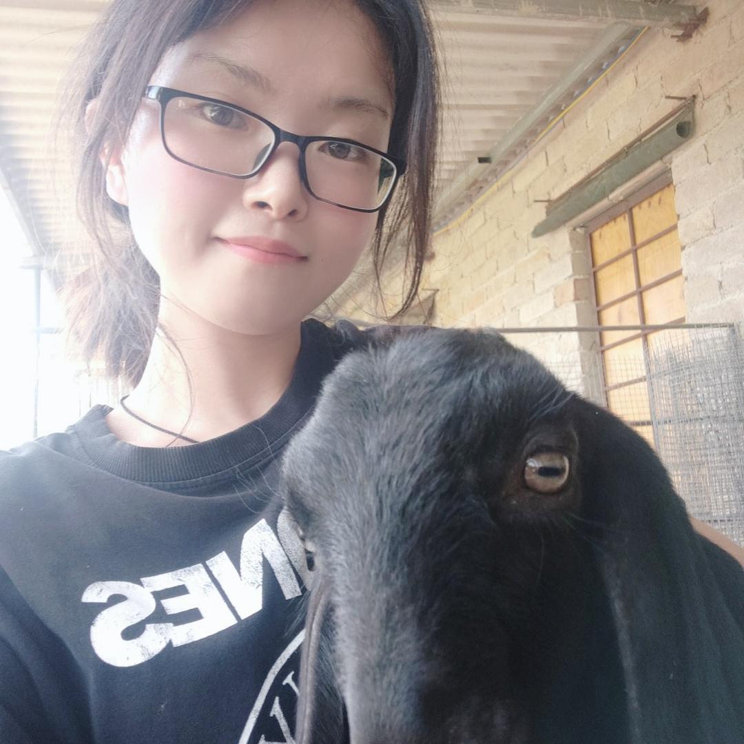 禄丰科兴牧业