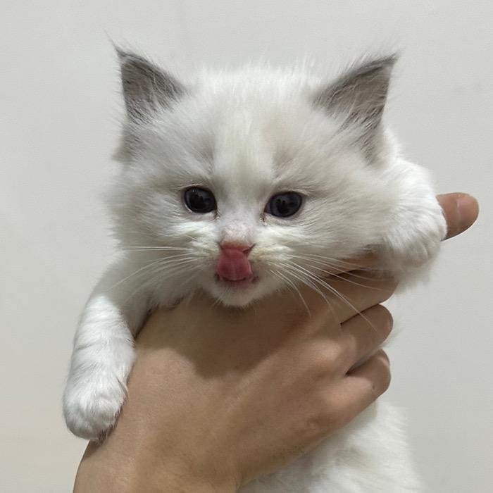 这么近，那么远