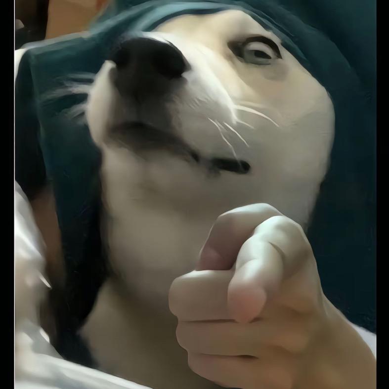 雨童