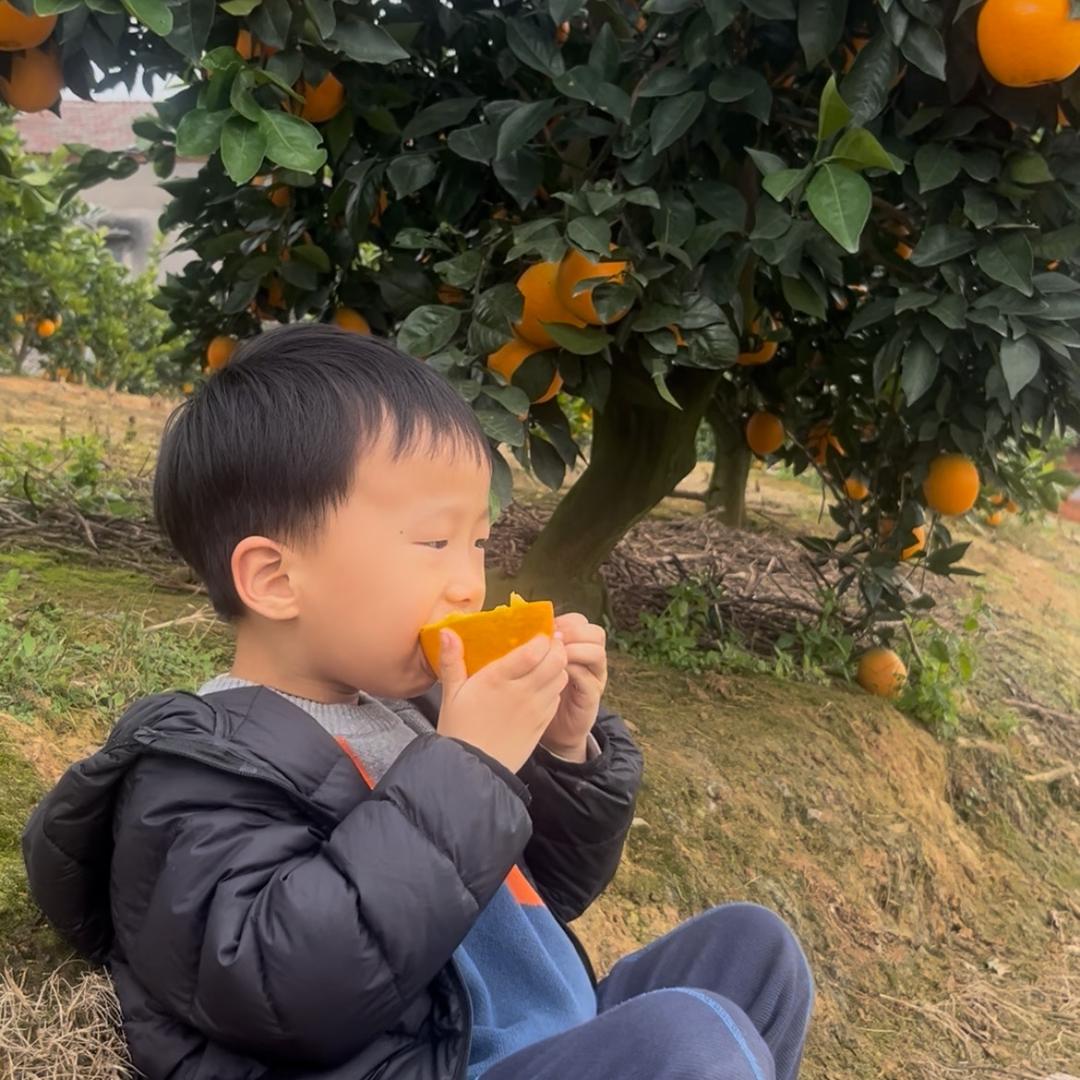 种脐橙的小花