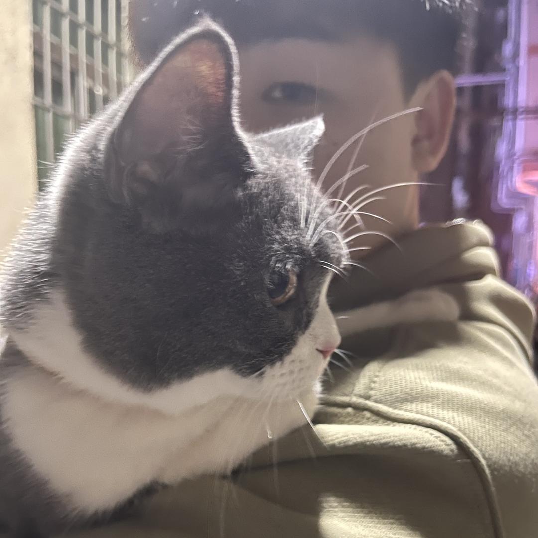 反方向得蟹