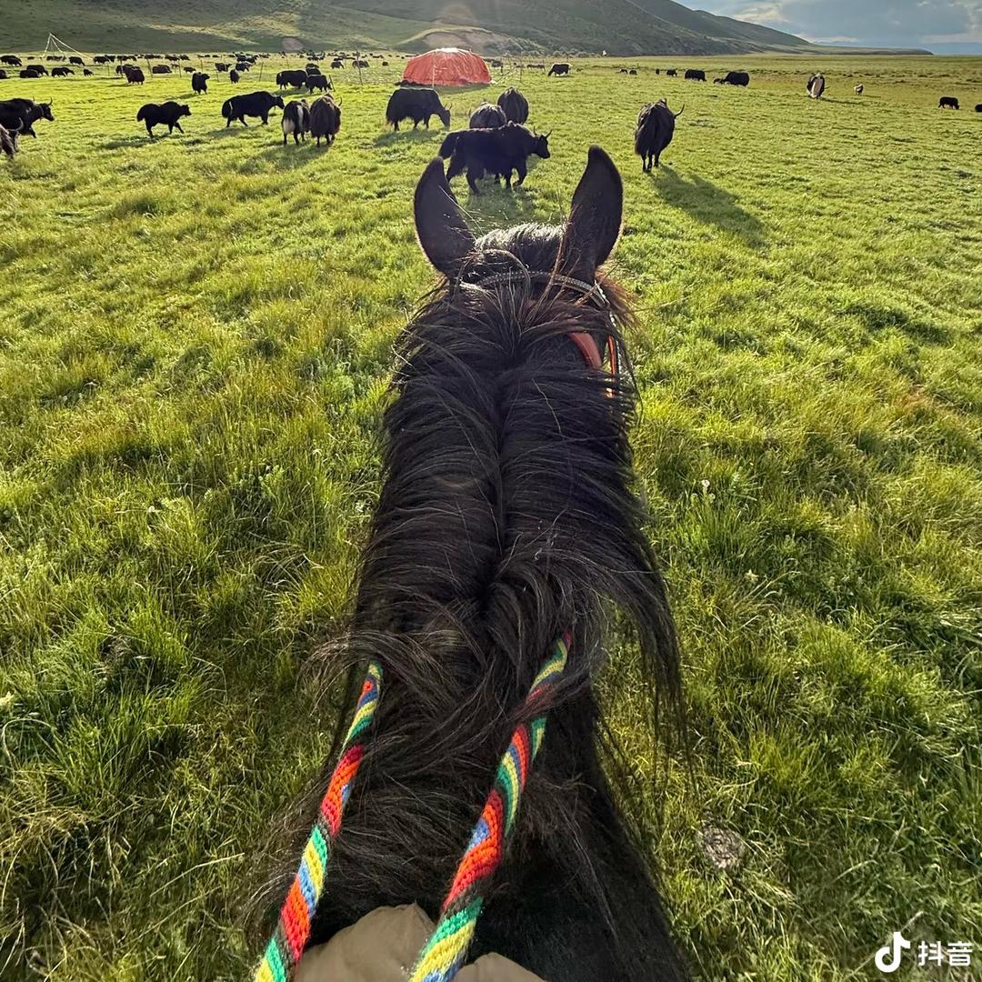 རྩམ་ཕྲུག་༒糌珠