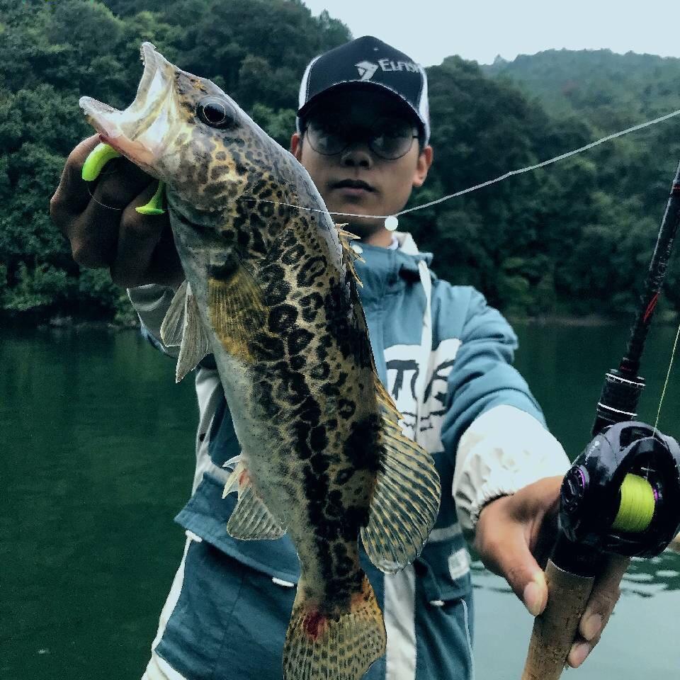长河—白泽路亚